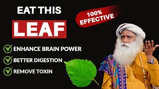 Eat This Leaf Like This | Enhance Brain Power | Easy Digestion | Hanuman | Devi | Betel |ft.sadhguru