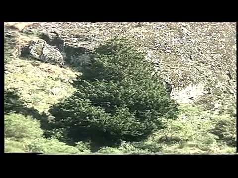 Audiovisual Parque Natural "Lago de Sanabria" (Parte 2/3)