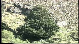 Audiovisual Parque Natural "Lago de Sanabria" (Parte 2/3)