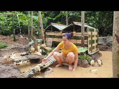 , title : 'How To Build Bamboo House For Ducks 2021 | Lý Thị Ca - Ep.64'