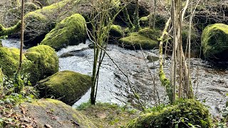 Practical Ascension – Episode 10 – Reset the Matrix