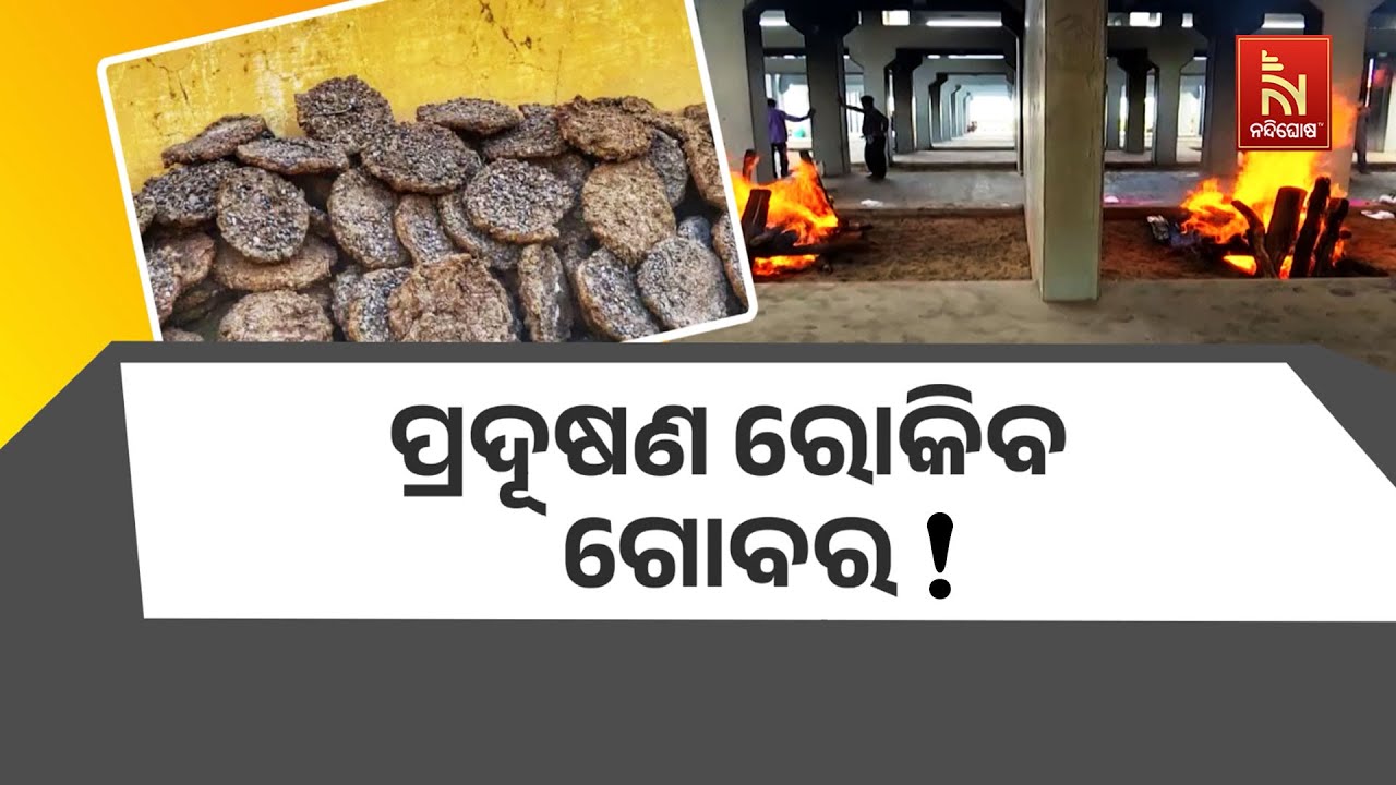 ପ୍ରଦୂଷଣ ରୋକିବ ଗୋବ ! ଶବଦାହରେ ବ୍ୟବହାର ହେବ ଗୋବର ଘସି | Na