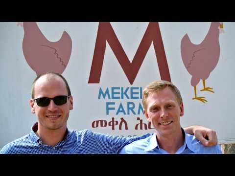 download lagu mp3 mp4 Ethiochicken, download lagu Ethiochicken gratis, unduh video klip Ethiochicken