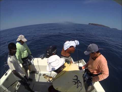 Tropical-Fishing Madagascar 2013