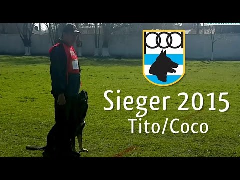 Tito y Coco - Sieger 2015