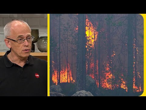 Ny satellitövervakning ska varna för skogsbränder | Nyhetsmorgon | TV4 & TV4 Play