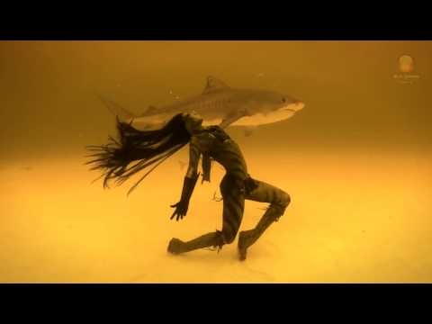 Electrolla, Gagarin, RaggaSapiens - Absolute Addi(c)tion by Lunacharsky Studio