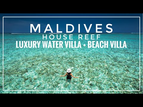 Videos del Taj Coral Reef Resort  Spa 5★ en Atolón de Malé Norte, MaldivasVer MásVerPrecios18CerrarConsulta por Whatsapp 🇦🇷BookingTripadvisorExpediaAgodaTravelocityOrbitzPricelineTripSkyscannerDespegarKayakHotelesDestiniaTrivagoAlmundoLastminuteTuiWotif