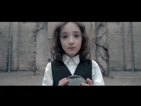 Where Did Nora Go - Shelter  (Official Video)