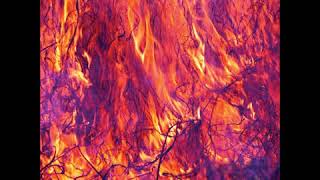 Korallreven -- As young as yesterday