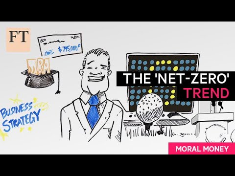The 'Net-Zero' trend  | Moral Money