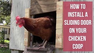 How To Install a Sliding Door on Your Chicken Coop