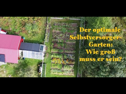 Vollversorgung mit Gemüse: Wie groß ist der optimale Selbstversorger-Garten? (Kleiner als du denkst)