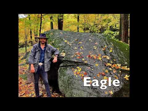 Eagle by Denis Sanacore