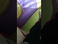Closing To Pokémon The Movie I Choose You 2017 DVD