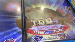 釣りスピリッツ遊ぶ動画♯1