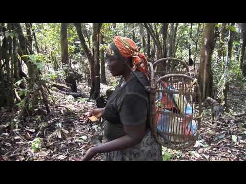 Women's Rights in  28  Villages Cameroon Africa