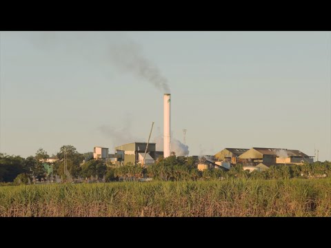 Farleigh Mill Tour - How sugar is made