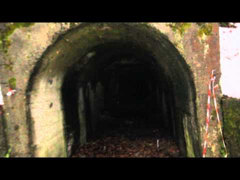 Mina parasita in Ruda Brad