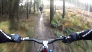 preview picture of video 'Cannock Chase Follow The Dog Best Bits'
