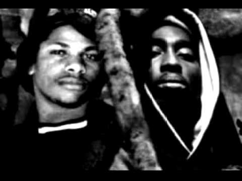 Nina Simone - Feeling good ft.EazyE & 2Pac [insanity3891 ReMiX]