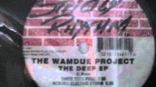 Wamdue Project - Remember The Memory