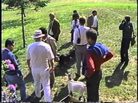 Ken Kesey shows a group of international visitors his home.