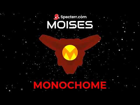 Monochrome [Moises Remixes]