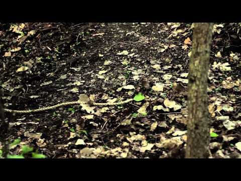 download lagu mp3 mp4 Expire Forgetting, download lagu Expire Forgetting gratis, unduh video klip Expire Forgetting