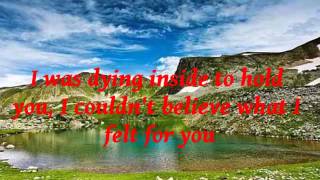 Dying Inside To Hold You.wmv (with lyrics)