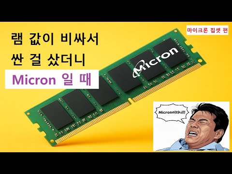 가격만 보고 구매한 메모리 최대한 활용하기 마이크론(Micron) 편