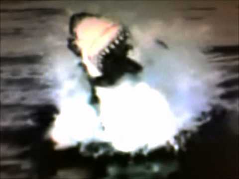 Borghesia - If ‎- Resistance