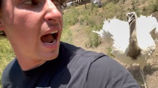 Download lagu Kevin Uses Quick Attack on Uncle Ben mp3