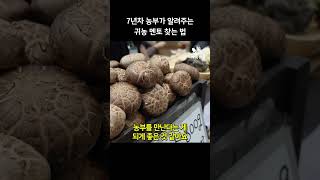7년차 청년농부가 알려주는 귀농 멘토 찾는 법