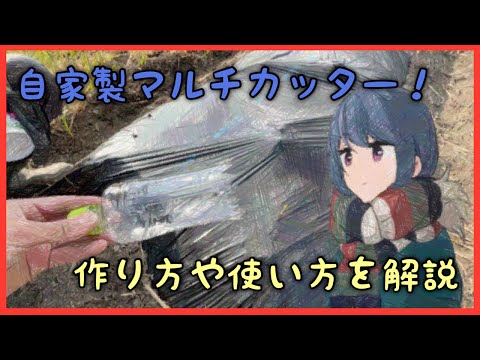 Lamium purpureum var.紫のオドリコソウ、紫色のオドリコソウ、花