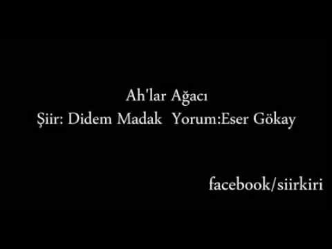 Didem Madak Ah'lar Ağacı Yorum Eser Gökay