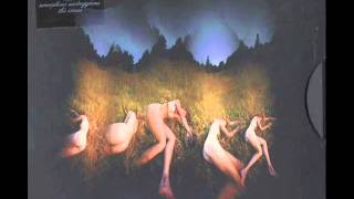 Amorphous Androgynous The Isness  - Galaxial Pharmaceutical