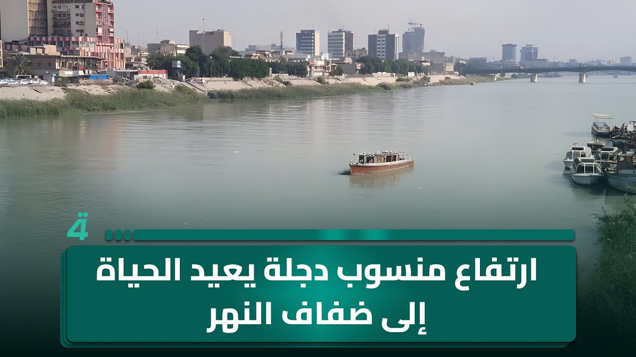 فيديو | ارتفاع منسوب دجلة يعيد الحياة إلى ضفاف النهر