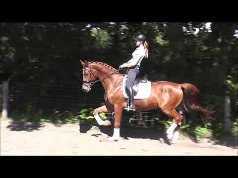 ROCK ON 4j. v. Radisson - Acordelli