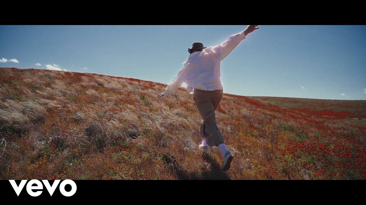 Gashi — Roses