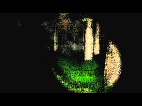 PUSIKOISSA VAANIVA PERVO! Pelataan Slender - Osa 1