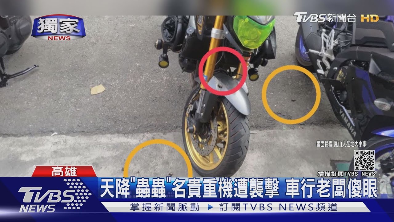 天降「蟲蟲」名貴重機遭襲擊 車行老闆傻眼