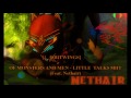 8BITWINGS Of Monsters And Men Little Talks 8BIT Feat Nethair