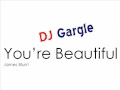 You're Beautiful - James Blunt DJ Gargle Remix ...
