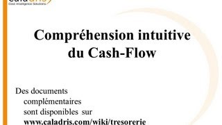Cash-Flow 1 : Définition Et Compréhension Intuitive Du Cash-Flow