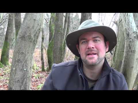 Wald kaufen? ☆ Rechte & Pflichten für Waldbesitzer