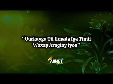 HEESO BILAA MUSIC AH (ADUUNKO DHAN TAAN KA EEGAN JIRAYEEY) LYRICS.