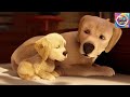 Andy A Dog S Tale Canine Companions Animation Puppy Servicedogsofinstagram 1