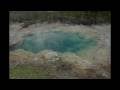 Yellowstone Park with Mark Isham (the times of Harvey Milk)