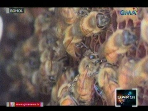 Kapag ang taba ay nagsisimula upang pumunta sa pag-inom diyeta Kung paano upang kumain na may lakas ng pagsasanay sa pagbaba ng timbang